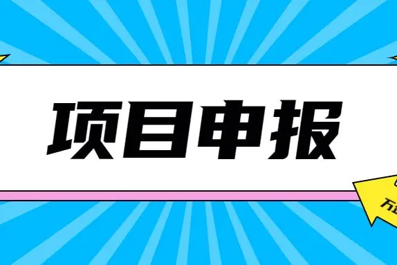 新一代項目申報
