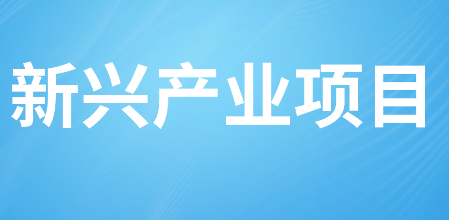 新興產(chǎn)業(yè)