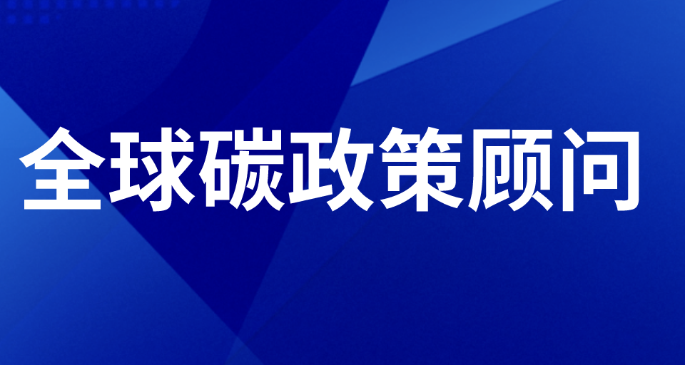 全球碳政策顧問